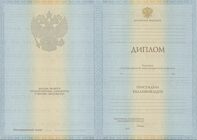 Диплом программиста 2009-2010 года